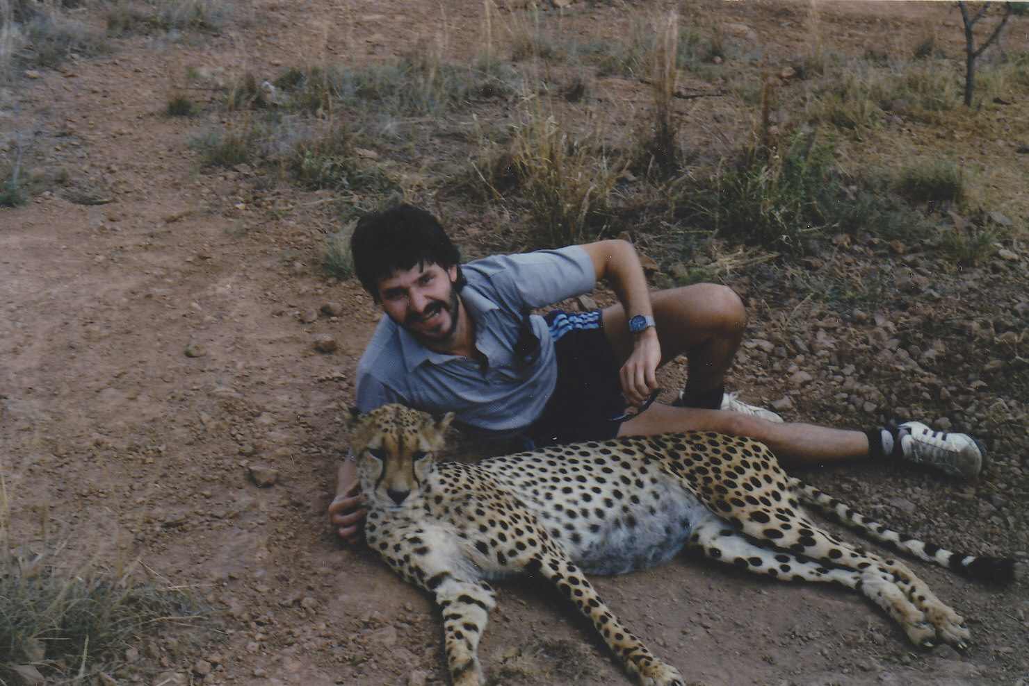 SA_Gab_Cheeta.jpg